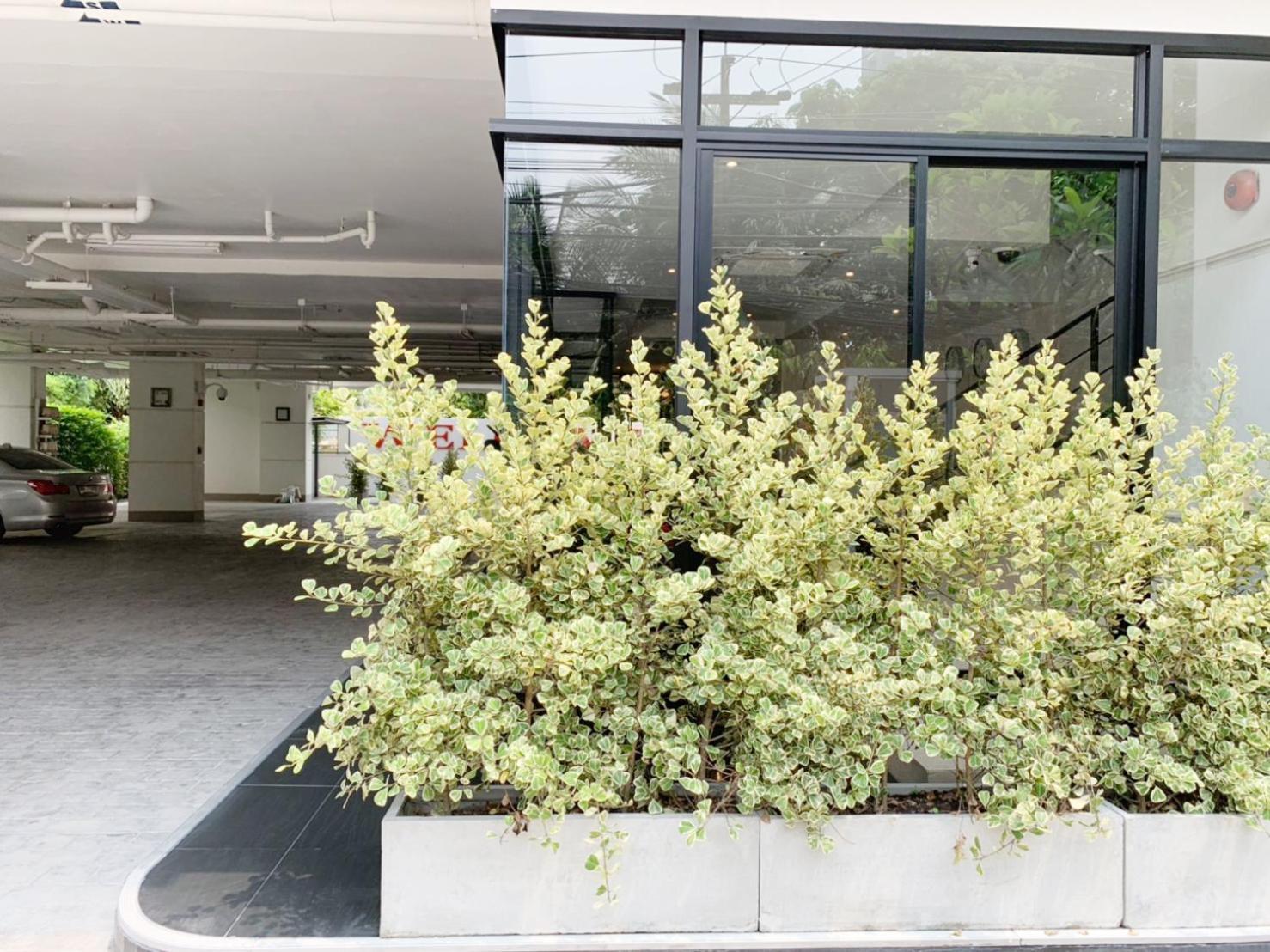Pacific Residence 39 Bangkok Dış mekan fotoğraf